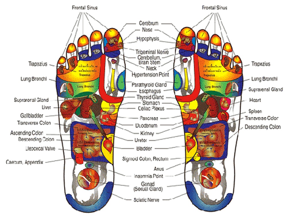 Reflexology chart of foot pressure points